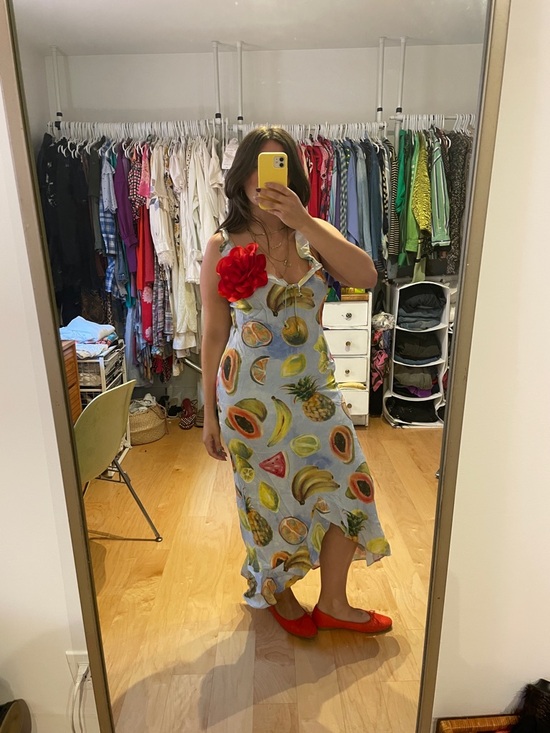 Wilfred Dresses & Skirts - Wilfred Light Blue Fruit-Print Maxi Dress with Red Floral Accent